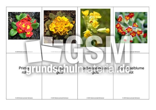 Blumen-Memo-Aufdeckspiel-3.pdf
